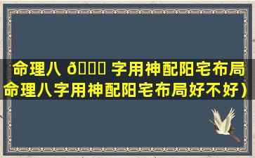 命理八 🐈 字用神配阳宅布局（命理八字用神配阳宅布局好不好）
